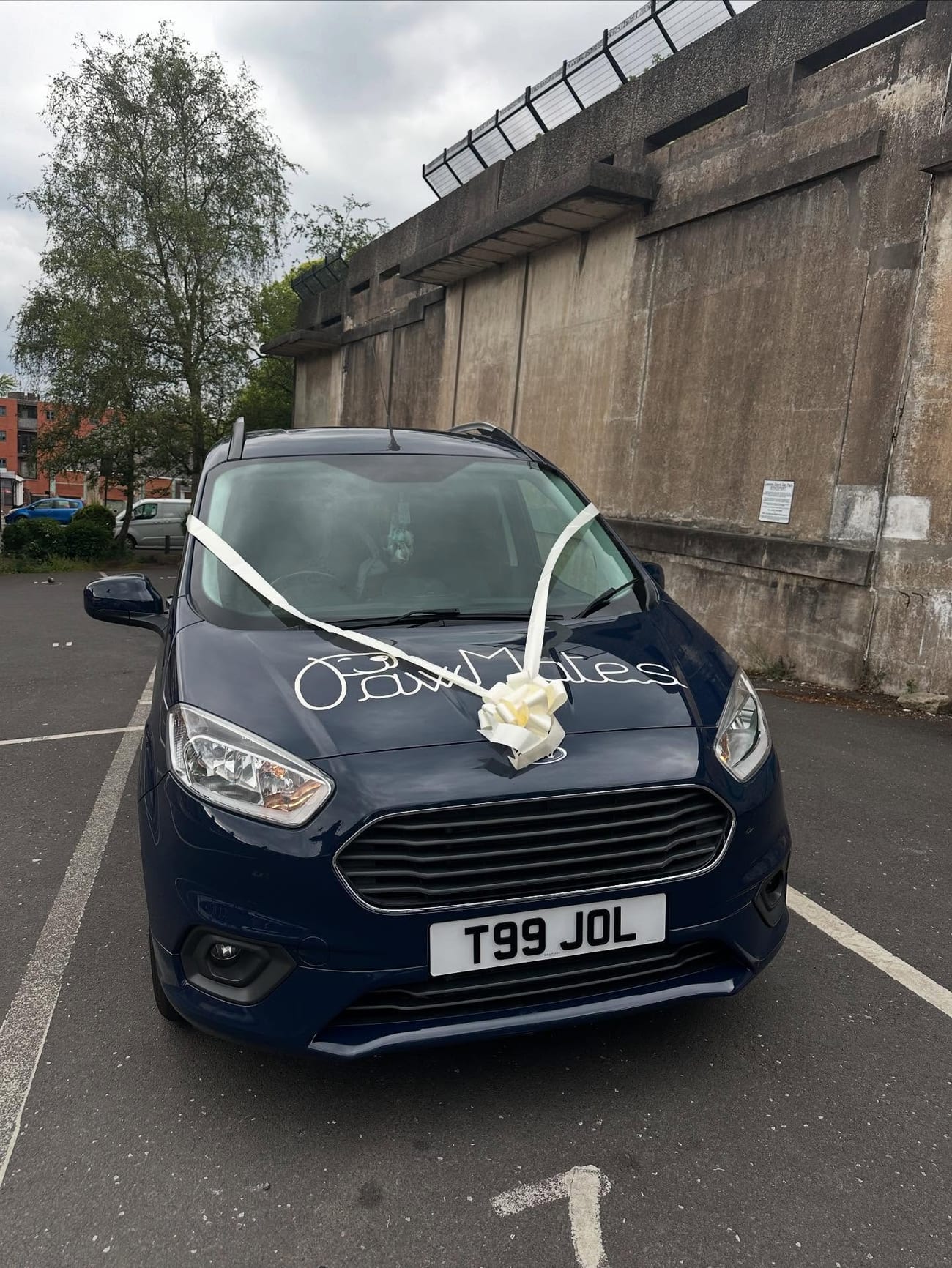 The navy PawMates van dressed with white wedding ribbon and a bow