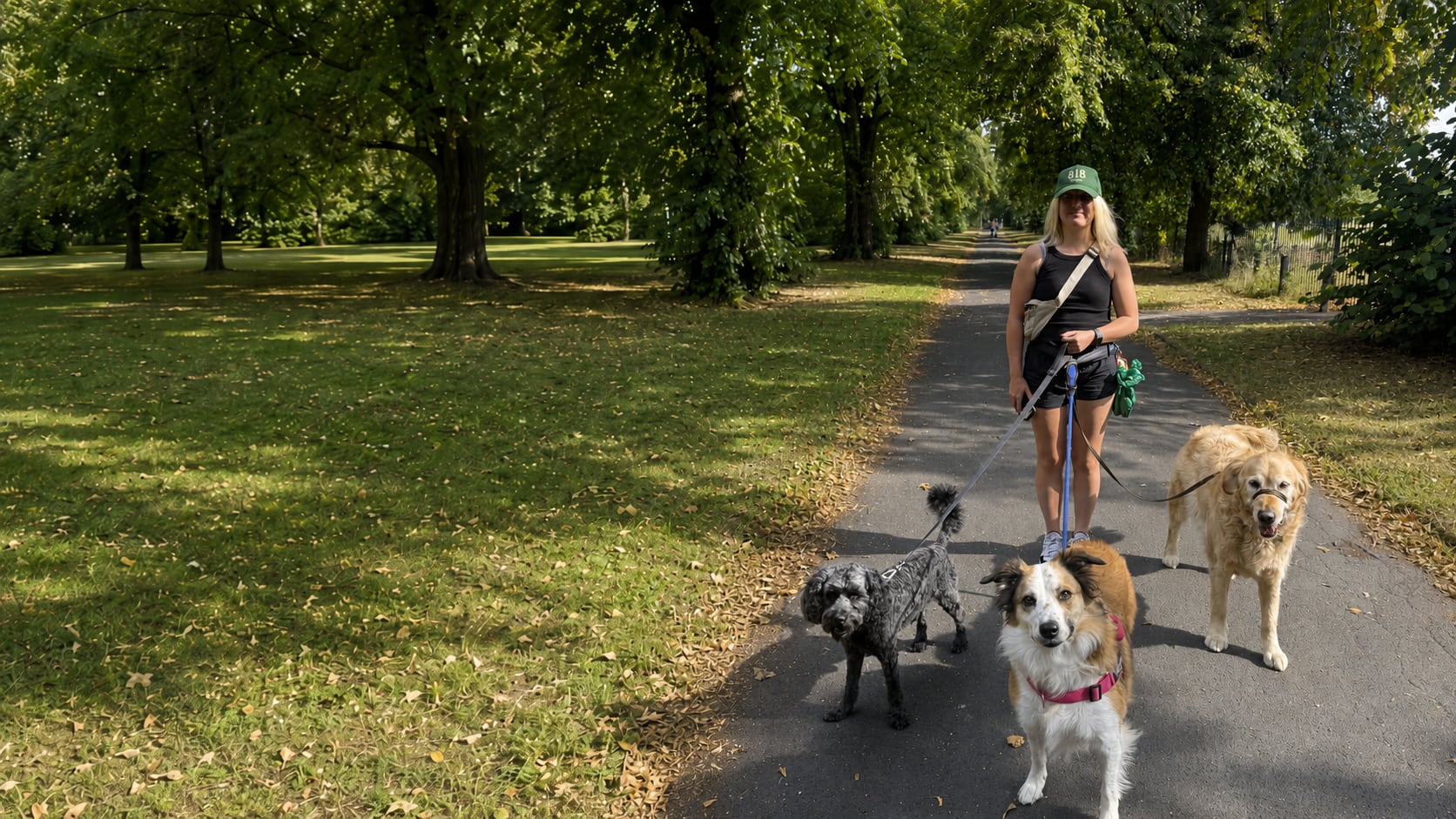 Joanne of PawMates walking three dogs along a tree-lined park path