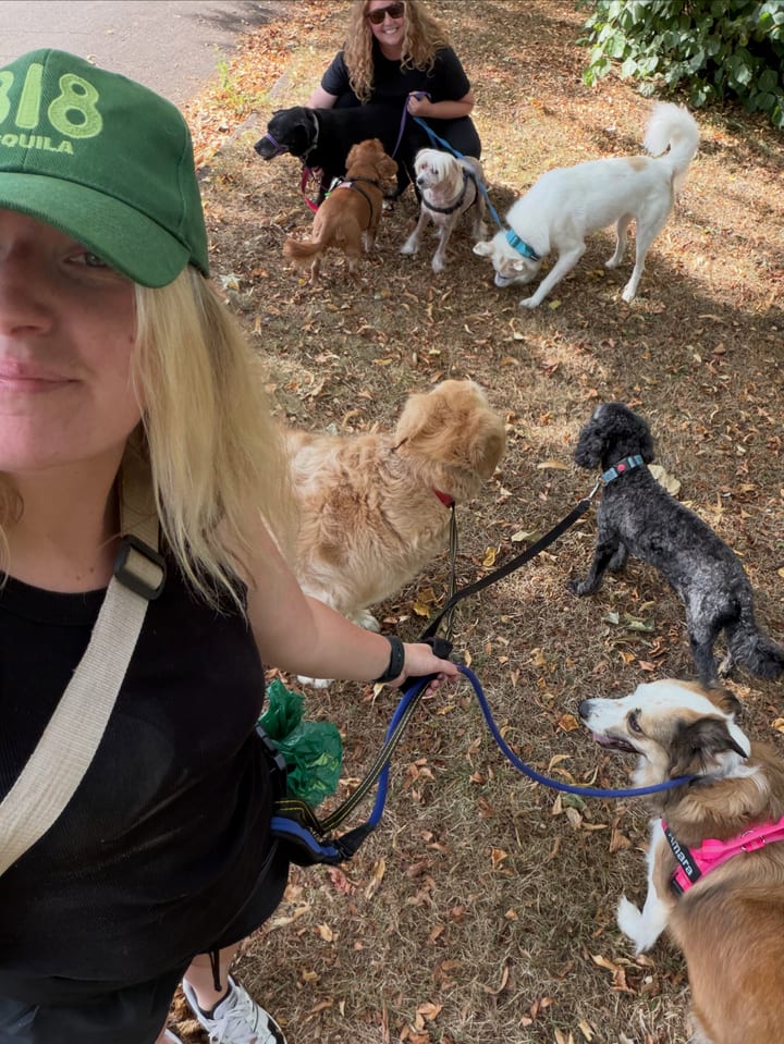 Jo out with a full group of dogs on a park walk